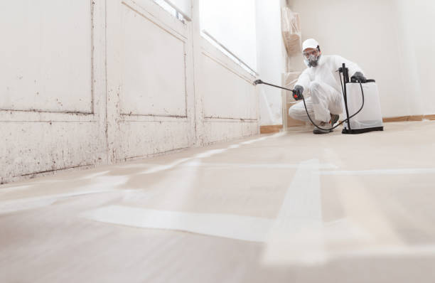 24/7 Emergency Black Mold Remediation experts in Woodbury, TN